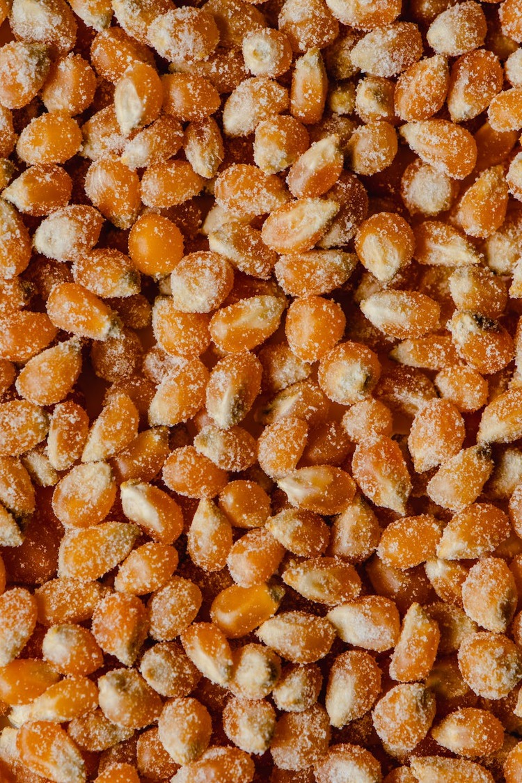 Popcorn Recipe - Salted Popcorn